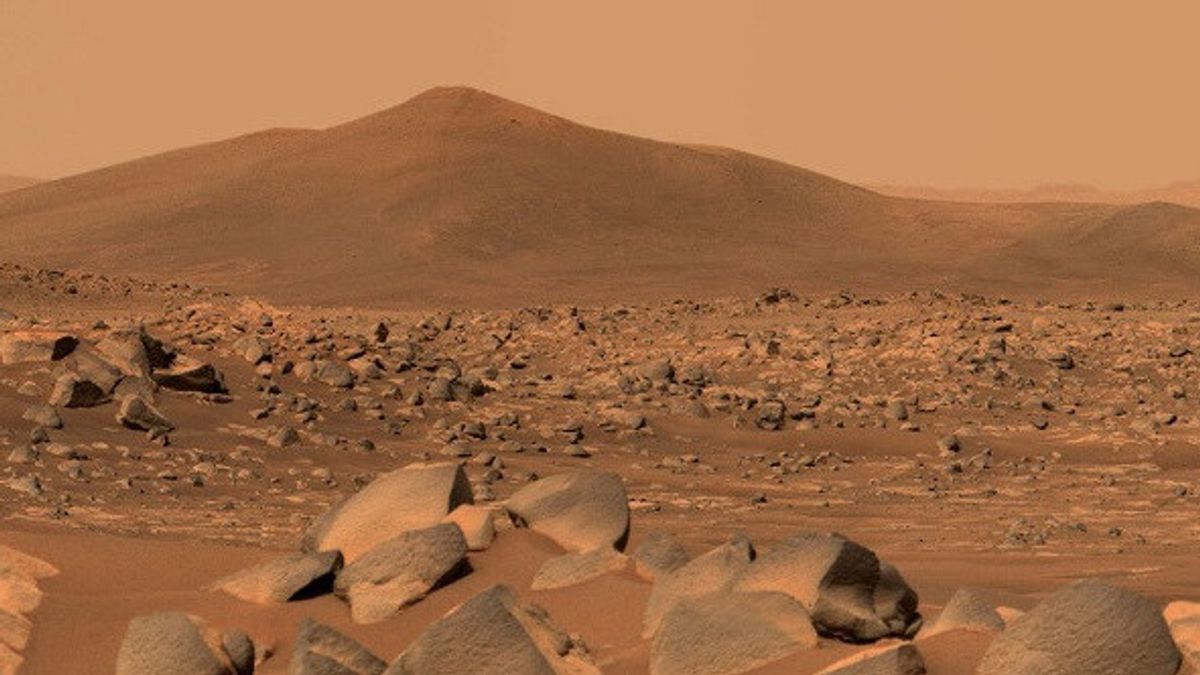 火星被认为具有能够改变地球气候的微生物生命