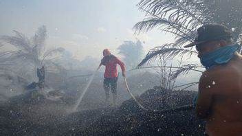 中加里曼丹的突出火灾，19个活跃的森林和陆地火灾易发柱24个90天