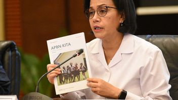 Transfers To Natural Regions Decline, Sri Mulyani Outspokenly Causes