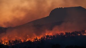 Kebakaran Hutan Dahsyat di Siprus Tewaskan 2 Orang