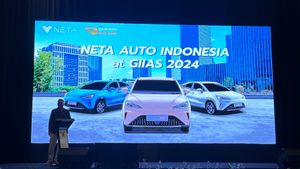 Neta Bawa 5 سيارة نموذجية في GIIAS 2024 ، ستقدم سيارة دفع رباعي جديدة