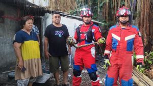 Ular Sanca 1,5 Meter Ditemukan di Asbes Kamar Mandi Rumah Warga Tanjung Priok