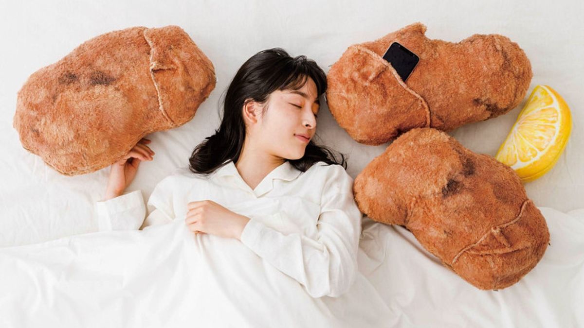 Chicken Skin Crispy Karaage Pillow For Sale In Japan, Interested?