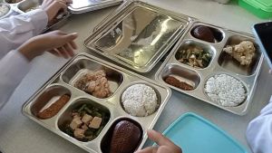 Kemenkes Percepat Penerbitan Sertifikat Dapur MBG Jadi 2 Minggu