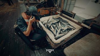 Seaspiracy: The Biggest Threat Of The Ocean Is Not Plastic But Fish On Our Dining Tables