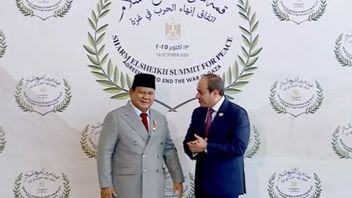 Indonesia's Central Role In Gaza Peace, Prabowo Is Considered A Solutive Figure In The Eyes Of The World