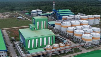 Kinerja Kuartal I Positif, Citra Borneo Utama Targetkan Pendapatan Rp13 Triliun di 2025