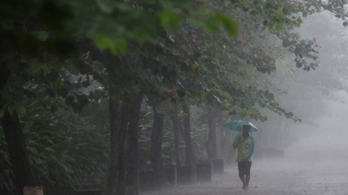 BMKG Ingatkan Potensi Hujan Lebat di Beberapa Daerah Hari Ini