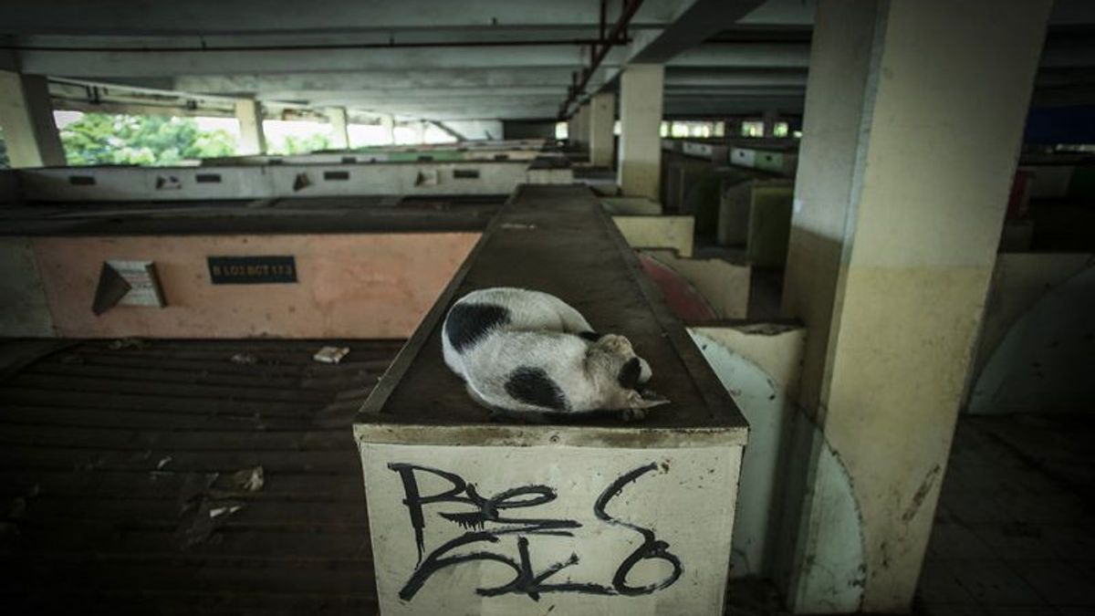 Pasar Jaya Did Not Find Evidence That Blok G Tanah Abang Market Became A Place For Thugs And Nests