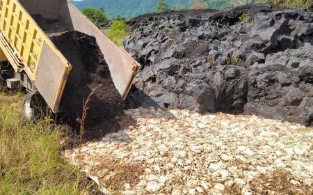 Ribuan Ekor Bangkai Ayam Dibuang di TWA Gunung Batur Bali, Polisi Cari Pelakunya 