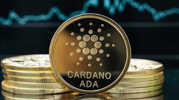 Whale Cardano Activity Remains High, Positive For ADA Price?