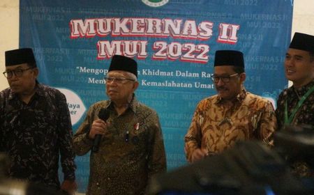 MUI Harus Ingat Pesan Wapres Ma'ruf Amin: Hanya Ada 1 Visi, Jangan Ada Visi Perorangan dan Kelompok