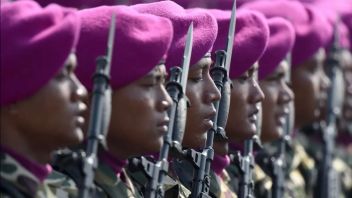 Selain Libatkan Marinir, Pengamat Usul Jukir Kenakan Seragam Dishub Jakarta