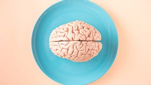 Ini 5 Tanda Otak Alami Penuaan Lebih Cepat Dari Usia, Kamu Sudah Tahu?
