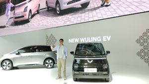 Internal Refreshment, New Air Ev Attracts Attention At IIMS 2025