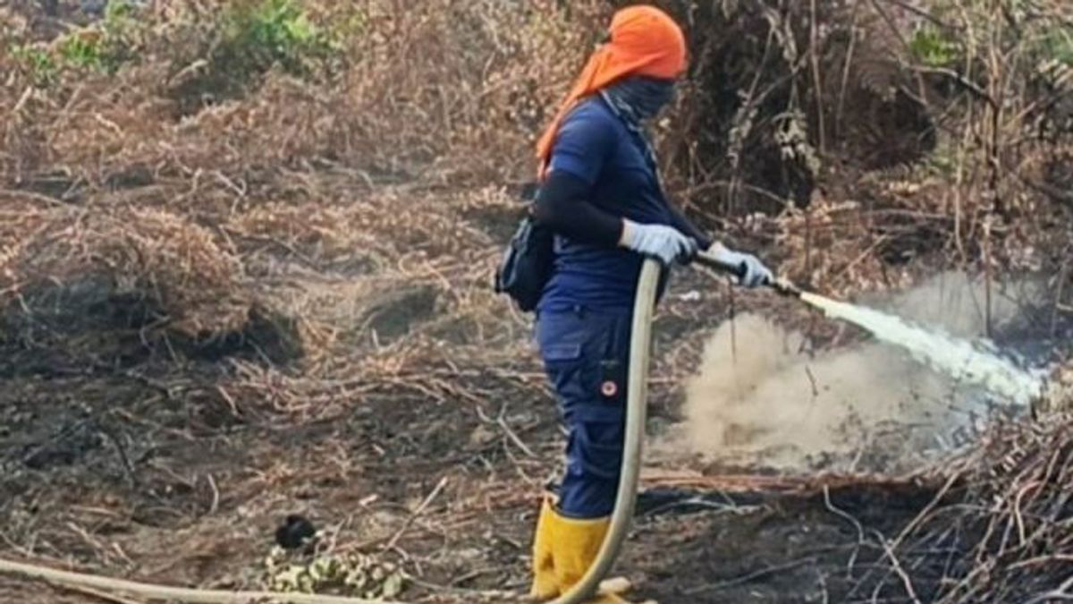 Akhir Pekan Kaltim dan Kalsel Dilanda Karhutla , BNPB Beberkan Penyebabnya