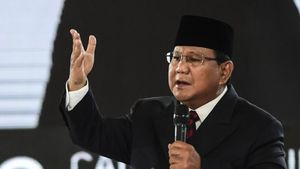 Prabowo Bakal Luncurkan Danantara Besok di Istana Jakarta