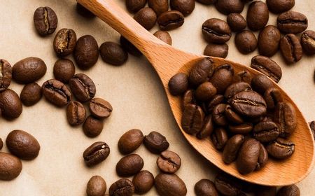 3 Biji Kopi Terbaik di Asia Versi Taste Atlas, Indonesia Menduduki Posisi Pertama