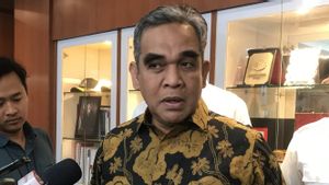 Riza Patria Batal Maju Cawalkot Tangsel, Gerindra: Fokus Menangkan RK di Pilgub Jakarta 