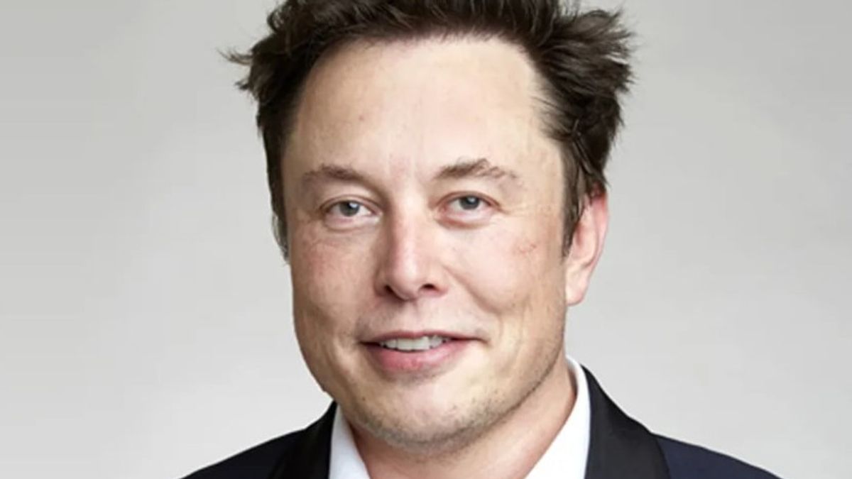 Elon Musk Tweets, Bitcoin Prix Chute Immédiatement