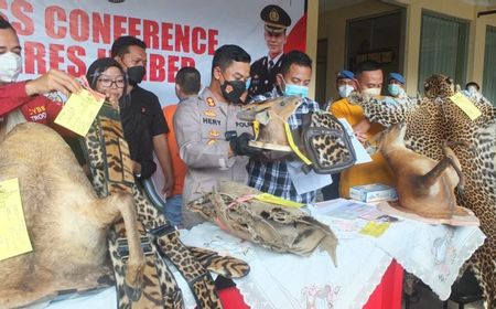 Polres Jember Tangkap Perajin Kulit Satwa Dilindungi