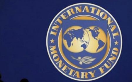 IMF Sebut Cryptocurrency Berkorelasi dengan Korupsi