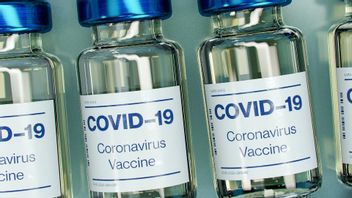 Vaccination Indépendante COVID-19 L’an Prochain, Les Entreprises D’État Préparent Des Précommandes Par Le Biais De Demandes