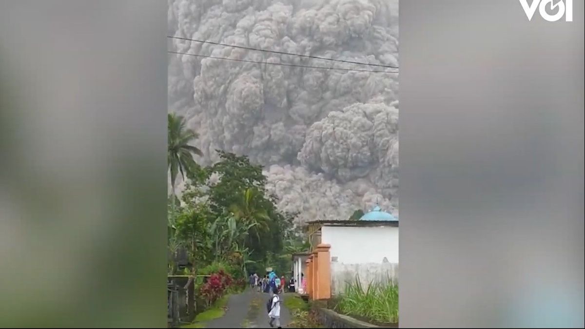 VIDEO: Moments Mount Semeru Erupts, Residents Scatter To The Streets