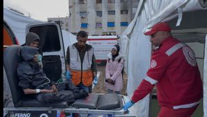 Doctors Without Borders Sebut Infrastruktur Kesehatan Gaza Rusak Parah