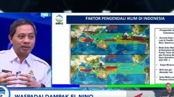 BMKG Sebut 63 Persen Zona Musim Indonesia Terdampak El Nino, Musim Kemarau Lebih Kering