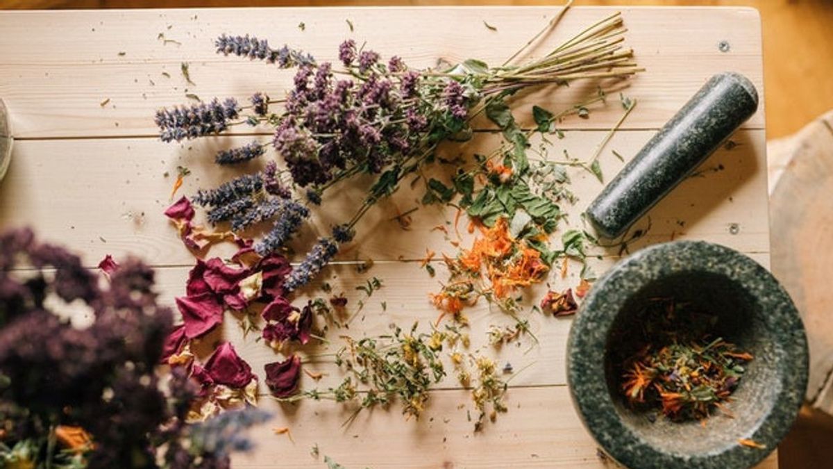 4 Tanaman Herbal yang Berkhasiat untuk Menyembuhkan Kulit Gatal, Coba Terapkan!