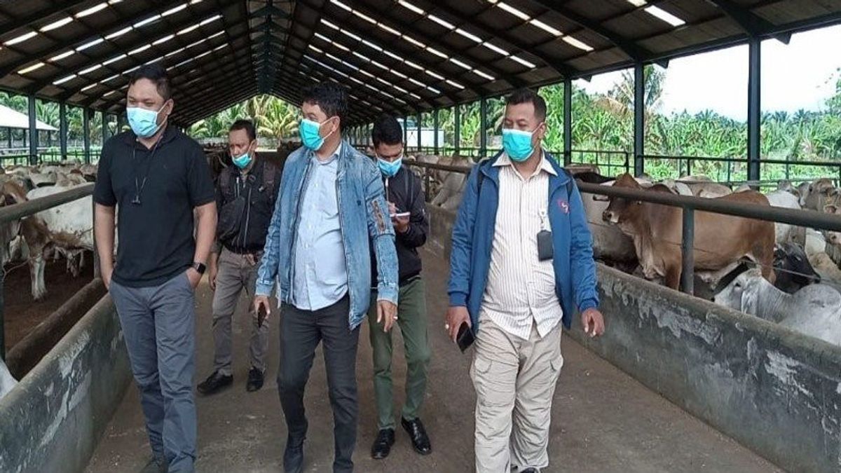 Meninjau Stok Daging di Sumatera Utara selama Lebaran 2021