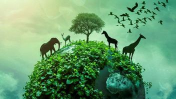 自然が破壊されるのを見るのは悲しいですか?これらは生物多様性を保存するための9つの取り組みです