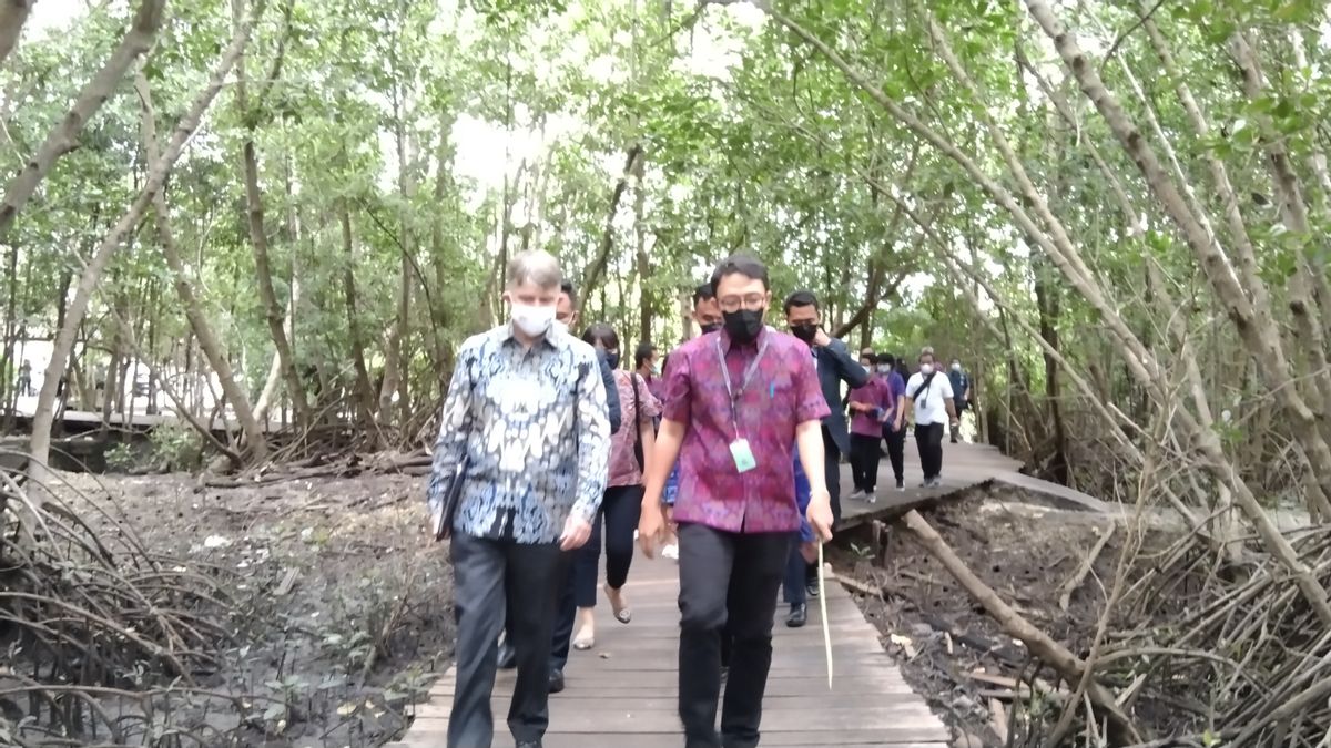  Dubes Inggris Puji Hutan Mangrove Tahura Ngurah Rai Lokasi Venue KTT G20 Bali, Apresiasi Jokowi