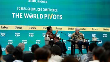 Not Just Food, Prabowo: MBG Presents 1.5 Million Jobs
