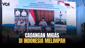 ronyme : Le président Prabowo : L'avenir des énergies renouvelables a augmenté