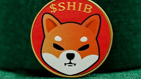 Shiba Inu Developers Make New Programs, This Is The Leak!