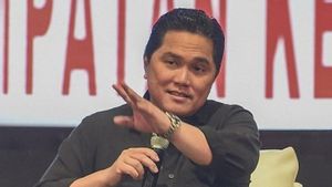 Erick Thohir Khawatir Ada Monopoli, Pengamat Alvin Lie Sebut Tak Masalah Kalau Industri Penerbangan Hanya Diisi Swasta