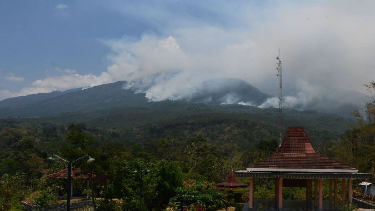 BPBD 拉武山被烧毁的森林地区地图