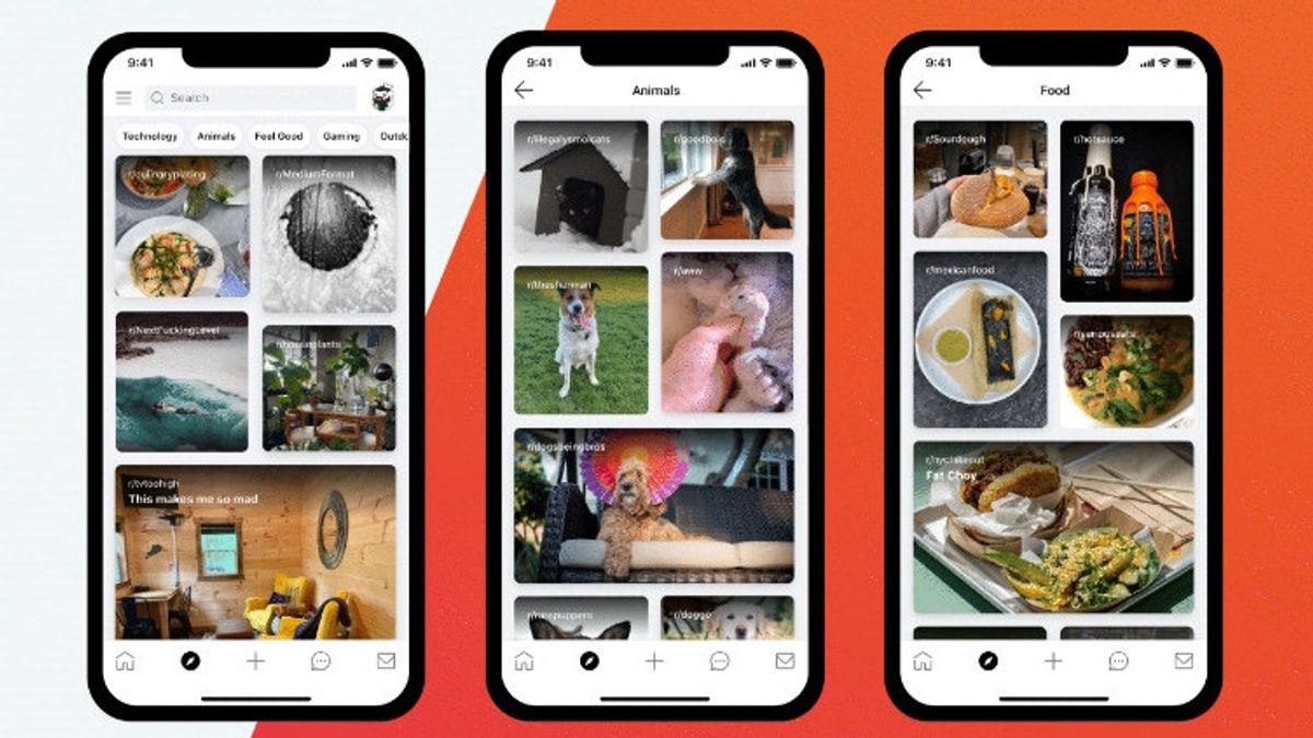 Reddit Launches Instagram-Like Discover Tab To Make It Easier For Users To Find Content