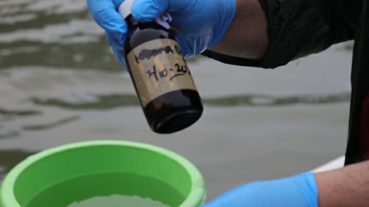 DKI 省政府采集雅加达湾海水样本，检查扑热息痛含量的真相