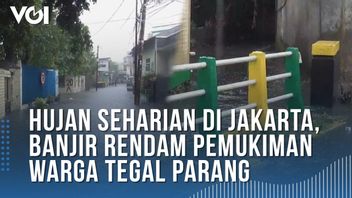 VIDEO: Hujan Seharian di Jakarta, Banjir Rendam Pemukiman Warga Tegal Parang