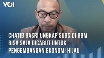 VIDEO: Chatib Basri Says Fuel Subsidy Can Be Revoked for Green Economy Development