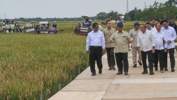 Prabowo est convaincu que l'Indonésie peut se nourrir elle-même chaque an