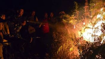 リンジャニは雨が降ります:最大10ヘクタールの山の植物火災