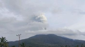 Gunung Lewotobi Laki-laki Erupsi, Muntahkan Abu Vulkanik Sejauh 1.300 Meter