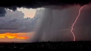 3 Orang Tewas Akibat Topan Vietnam, Evakuasi Terkendala Pohon Tumbang