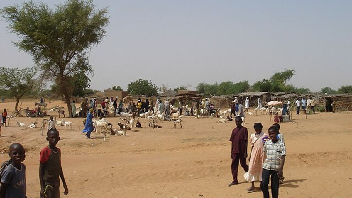 30 Orang Tewas dalam Serangan Udara di Niger Barat