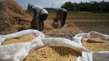 Observers Of The Discourse On Providing Soybean Subsidy To Importers: Fun Governments Also
