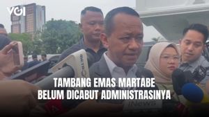 Bahlil Lahadalia Merespons Kabar Tambang Emas Martabe Dikelola BUMN